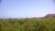 Zuydcoote 03.07.2025 13:19
