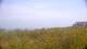 Zuydcoote 29.04.2025 13:19