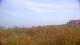 Zuydcoote 29.04.2025 13:19