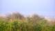 Zuydcoote 29.04.2025 13:19