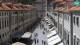 Dubrovnik 03.07.2025 13:19