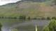 Bernkastel-Wehlen 08.06.2025 13:19