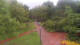 Bad Zwischenahn 15.07.2025 13:28