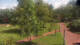 Bad Zwischenahn 15.07.2025 13:28