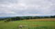 Grebenhain 10.07.2025 13:20
