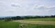 Grebenhain 14.06.2025 13:20