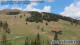 Lienz 29.04.2025 13:04