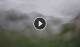 Syðrugøta 23.06.2025 13:22