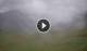 Syðrugøta 01.06.2025 13:22