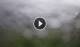 Syðrugøta 15.06.2025 13:22