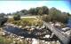 Barrington 26.06.2025 13:36