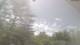 Roanoke, Virginia 18.04.2025 13:23