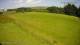 Princetown 14.06.2025 13:23