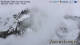 Neustift im Stubaital 26.04.2025 13:23