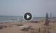 Jesolo 05.07.2025 13:24