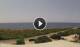 Torre San Giovanni 15.06.2025 13:24
