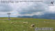 Wildhaus 10.07.2025 13:25