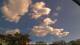 Carrum 30.04.2025 13:25