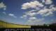 Winterton 30.06.2025 13:25