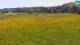 Medvode 30.04.2025 13:26
