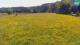 Medvode 11.05.2025 13:26