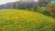 Medvode 29.04.2025 13:26