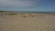 Dunkirk 09.07.2025 13:25