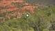 Sedona, Arizona 29.04.2025 13:27