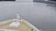Norwegian Jade 29.04.2025 13:27