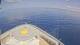 Norwegian Joy 31.01.2025 13:28