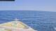 Norwegian Pearl 29.04.2025 13:27