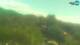 Fažana 09.07.2025 13:27