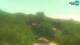 Fažana 13.07.2025 13:31