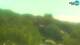 Fažana 14.07.2025 13:31