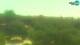 Fažana 05.07.2025 13:27