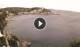 Skyros 29.04.2025 13:28