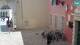 Rovigno 29.04.2025 13:28