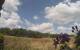 Montbliart 08.07.2025 13:27