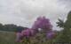 Montbliart 09.06.2025 13:28
