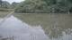 Les Landes-Genusson 01.07.2025 13:28