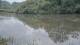 Les Landes-Genusson 11.06.2025 13:28