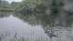 Les Landes-Genusson 29.04.2025 13:28