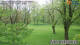 Husum 30.04.2025 13:30