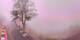 Lourdes 14.06.2025 13:28