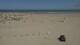 Dunkirk 08.07.2025 13:28