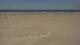 Dunkirk 08.05.2025 13:28