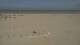 Dunkerque 29.04.2025 13:28