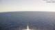 AIDAcosma 08.06.2025 13:28