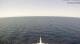 AIDAcosma 25.04.2025 13:29