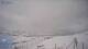 Narsaq 29.04.2025 13:31